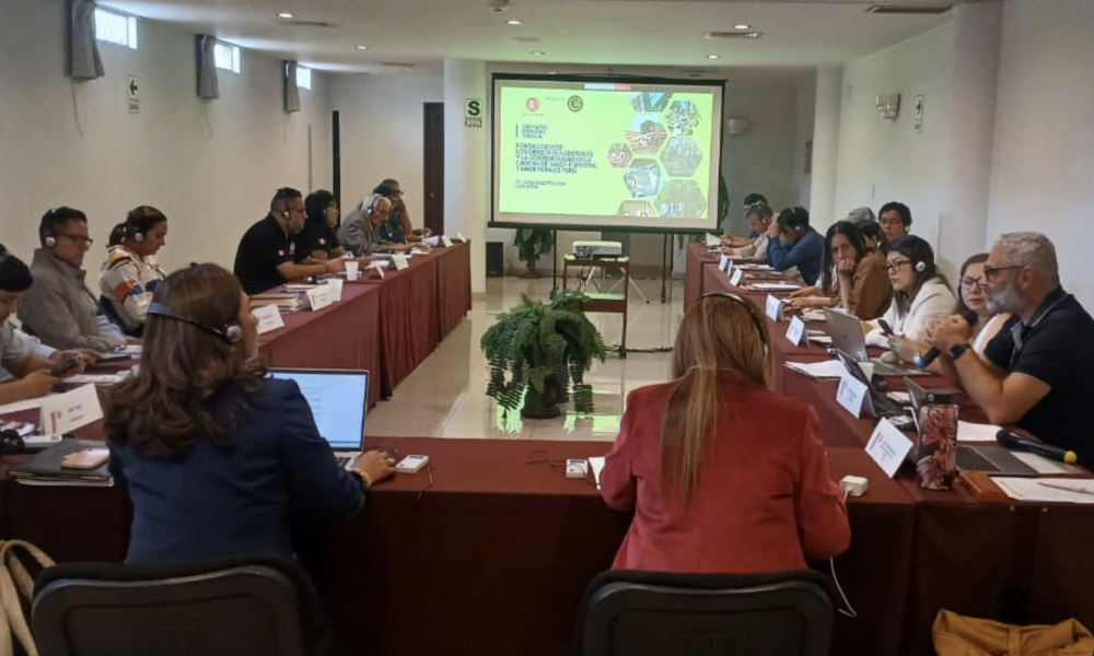 DECENT WORK, LIVING FORESTS AND UNION POWER: PERUVIAN GROUPS DRAW UP A ROADMAP